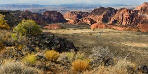 Snow Canyon View