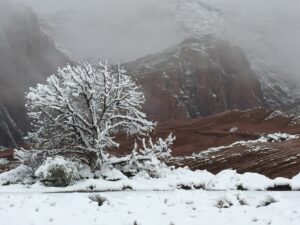 Snow in Snow Canyon